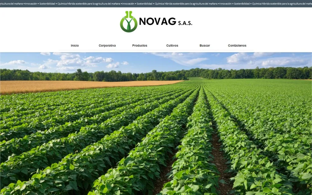 Web de Novag S.A.S. en ordenador