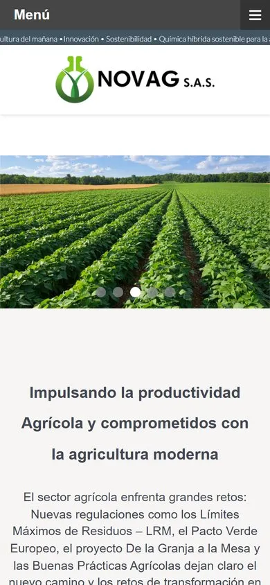 Web de Novag S.A.S. en el móvil